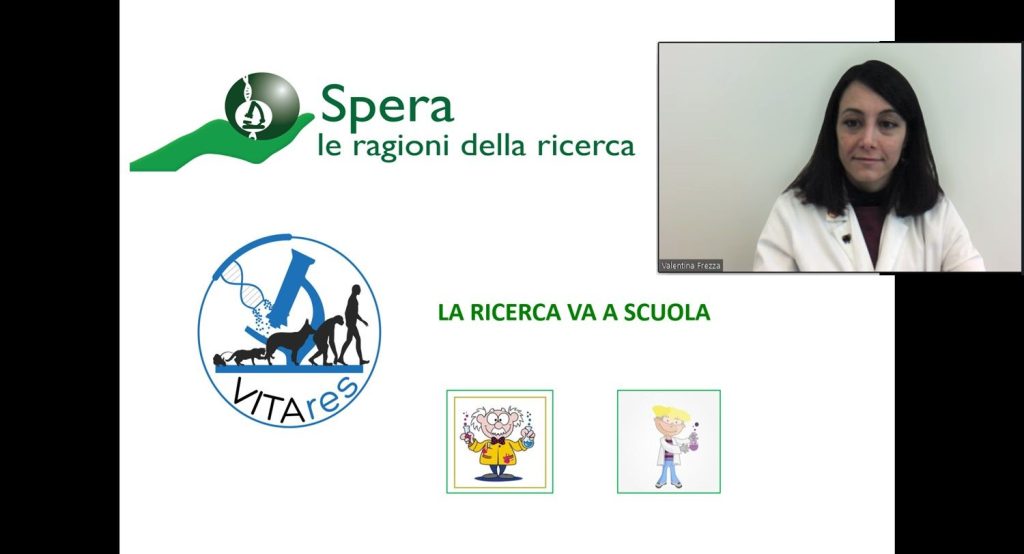 Vitares in the Spera Federation