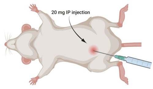 The_Mannan_induced_Psoriatic_Arthritis-c8e5adbf
